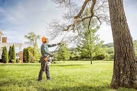 Versailles, PA  Tree Services Company